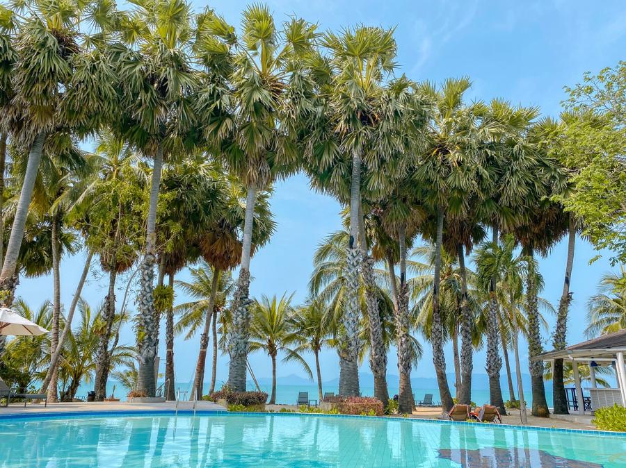 900 61191 20210319 020047710 iOS