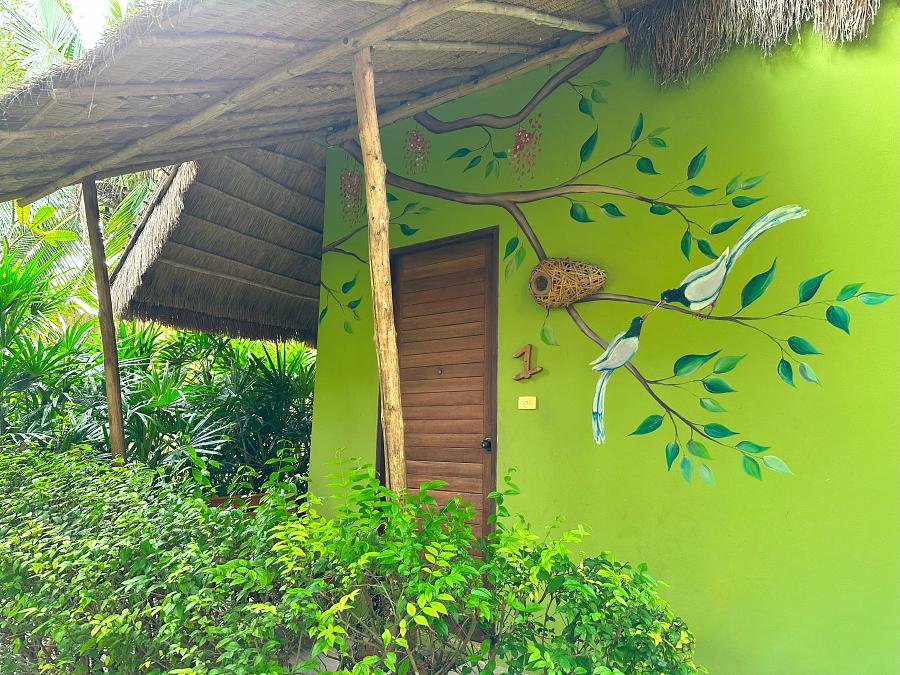 900 Asita Eco 20231104 085216888 iOS