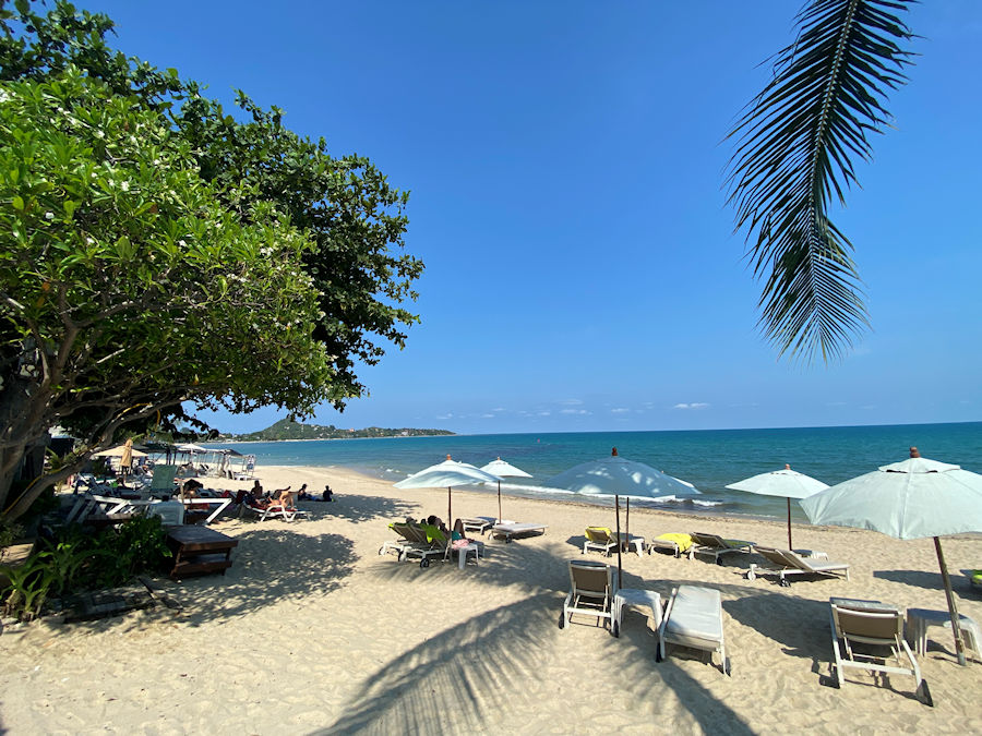 900 Beach 3 Foto 30 3 23 15 15 21