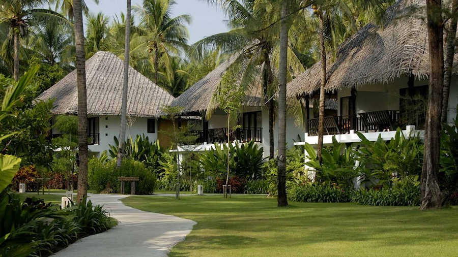 900 COCONUT HG038 30 1024x576