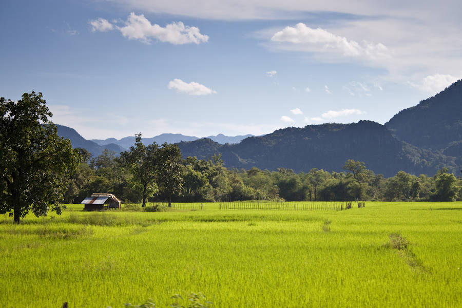 900 Countryside in central Laos shutterstock 140391151