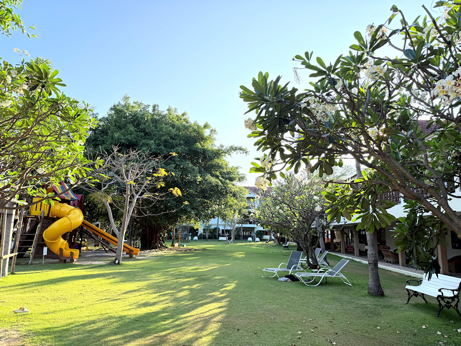 900 Garden 20260301 101826113 iOS