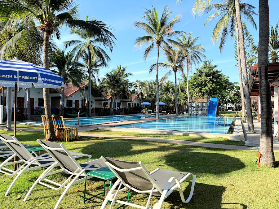 900 Garden 20260302 011802192 iOS