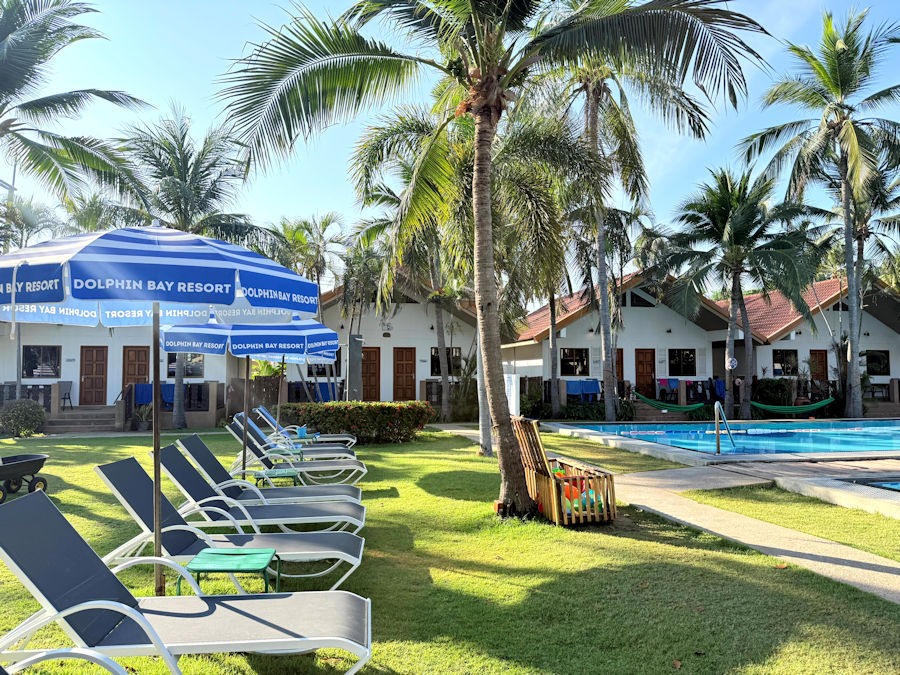 900 Garden 20260302 011821663 iOS