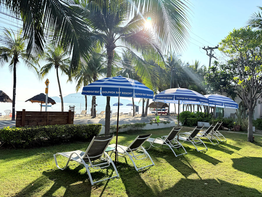 900 Garden 20260302 011834460 iOS