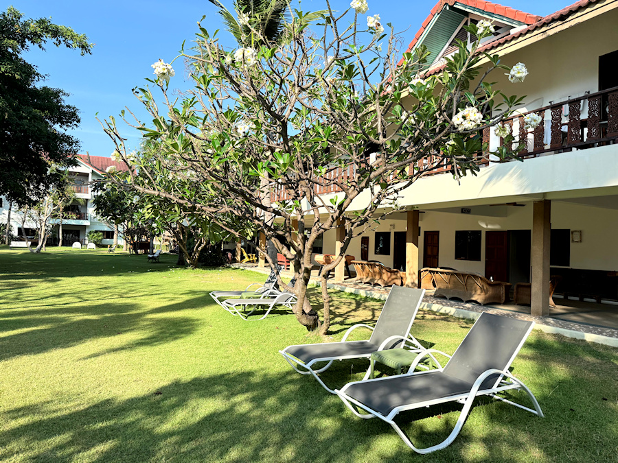 900 Garden 20260302 012632358 iOS