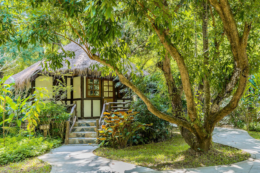 900 Jungle Chalet RS 2020 67