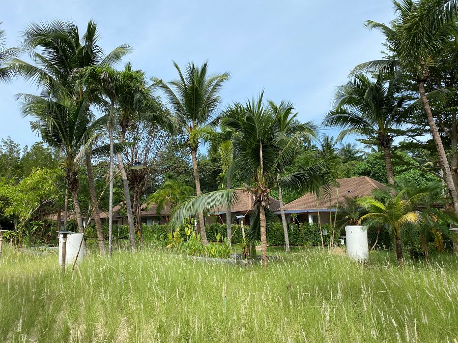 900 Lanta Sand 20221025 030707873 iOS