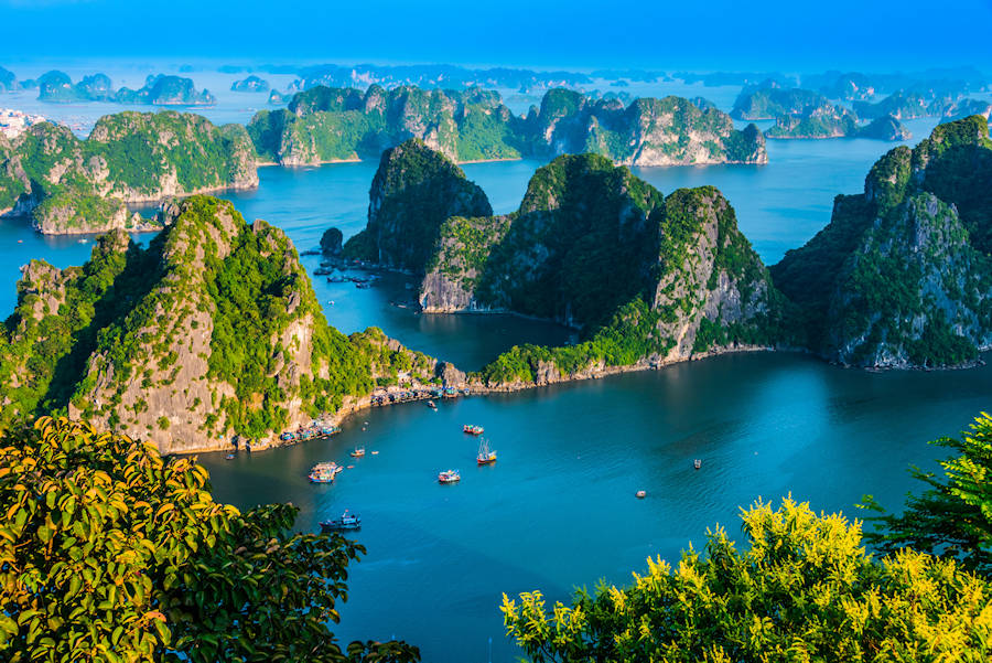 900 Panoramic view of Ha Long Bay AdobeStock 296948957