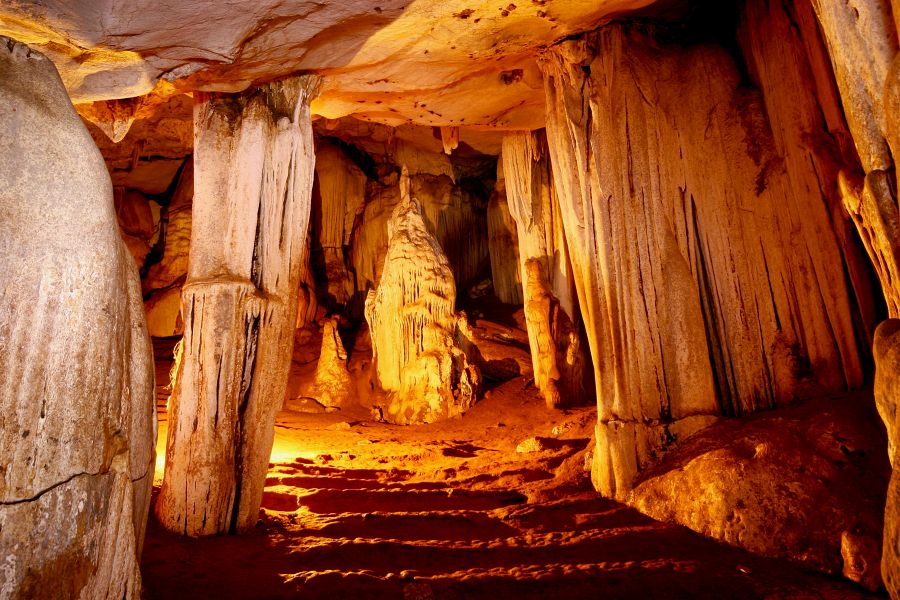 900 Resotel RS 2020 153