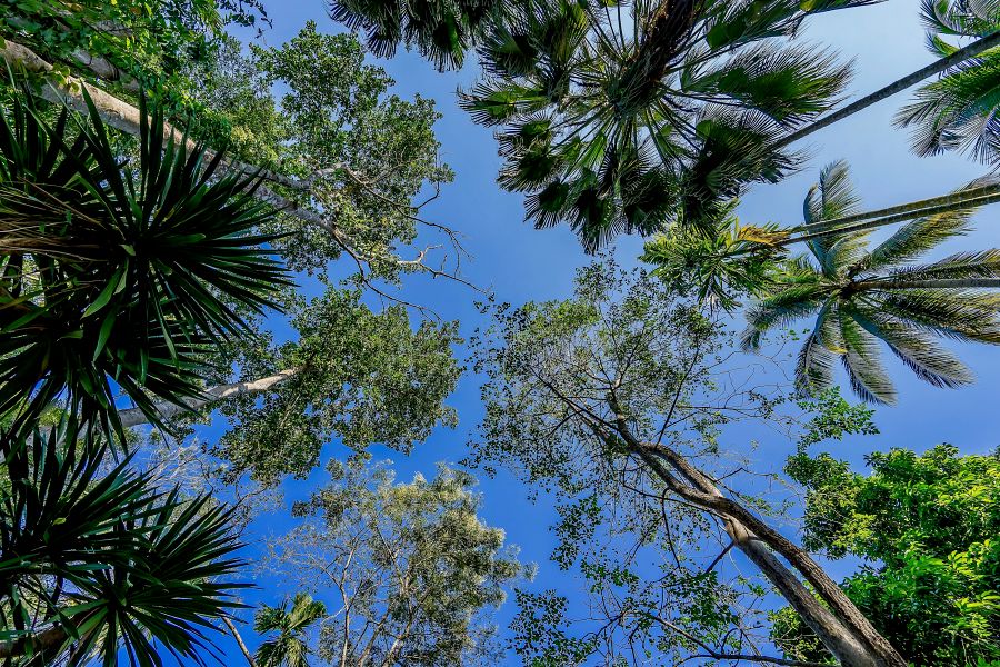 900 Resotel RS 2020 174