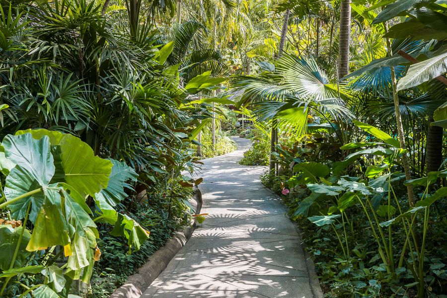 900 Resotel RS 2020 176