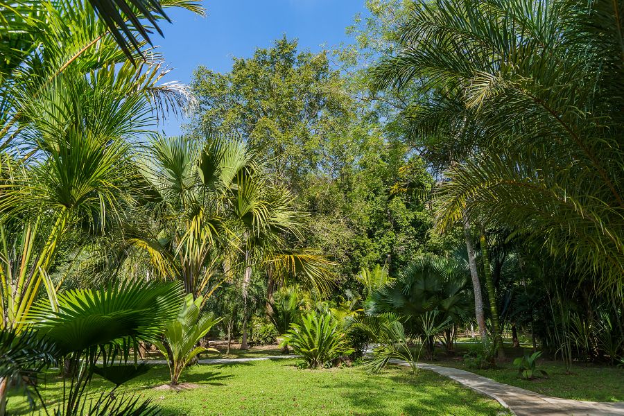 900 Resotel RS 2020 177