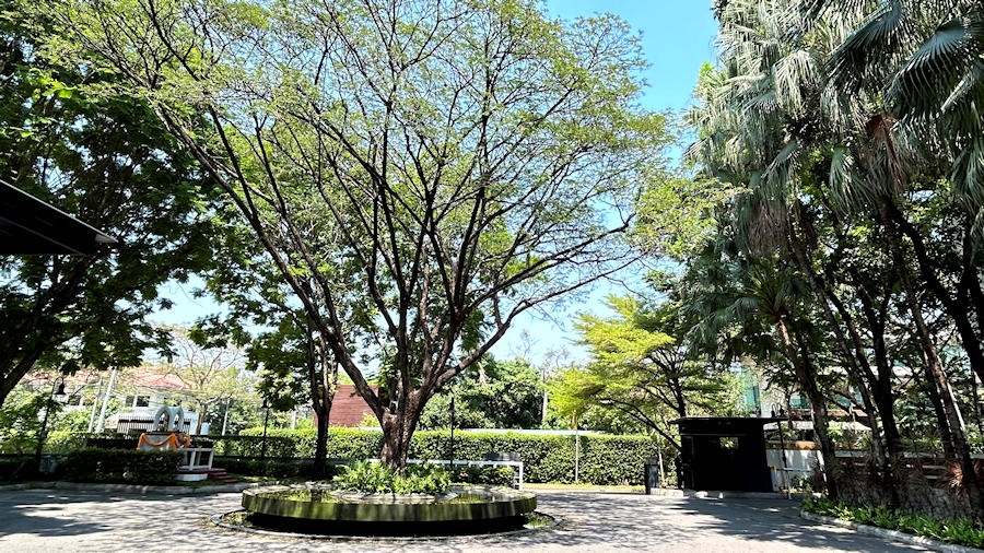 900 The Park Nine Srinakarin entrance