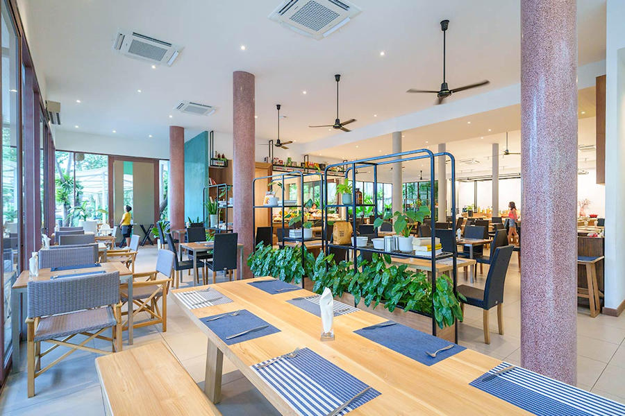 900 TheMango image01