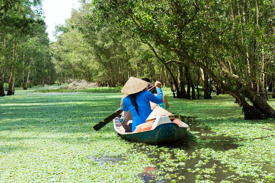900 Tra Su flooded indigo plant forest shutterstock 244633981