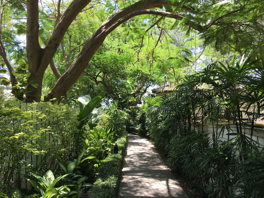 900 Walk way 20170601 040435996 iOS