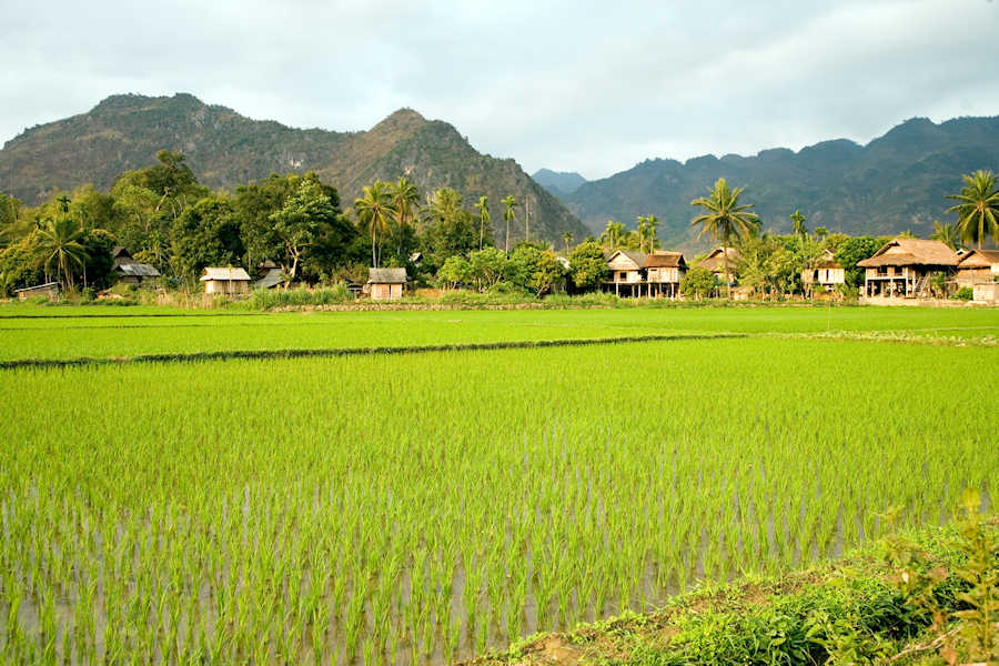 900 north vietnam landscape AdobeStock 850627