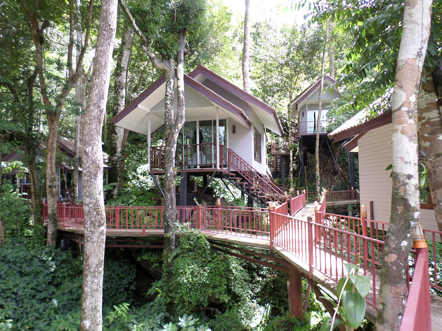 900 rock and treehouse resort