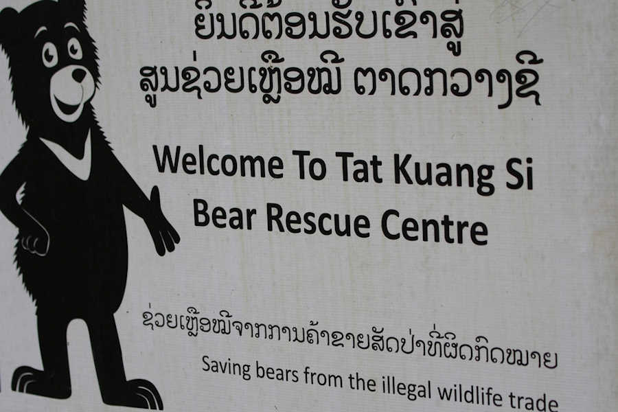 Web 900 Bear Rescue Center shutterstock 232711372
